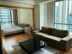 Park Infinia At Wee Nam (D11), Condominium #476521241